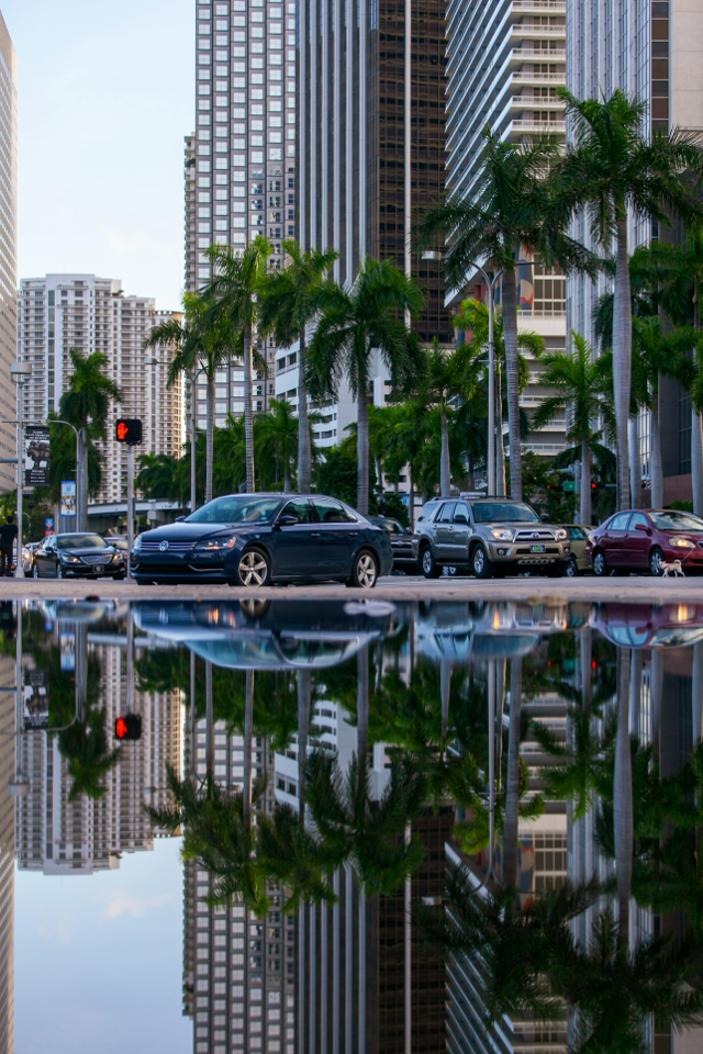 Miami landscape during the day